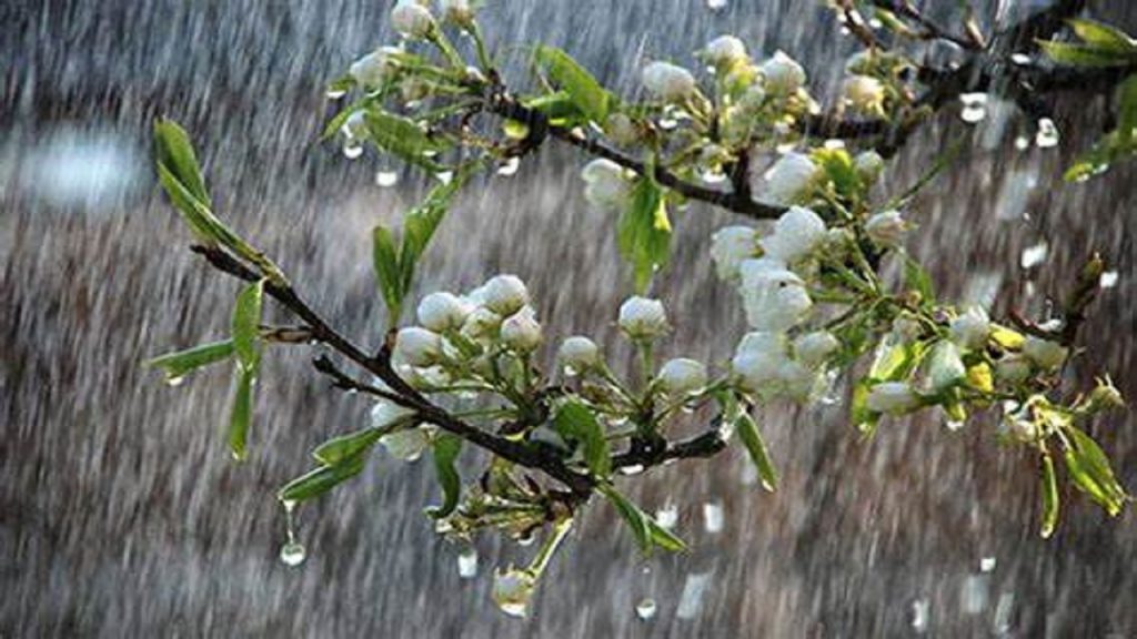 ثبت بیشترین میزان بارش‌های استان در بانه