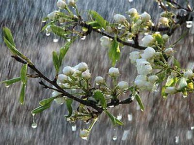 ثبت بیشترین میزان بارش‌های استان در بانه